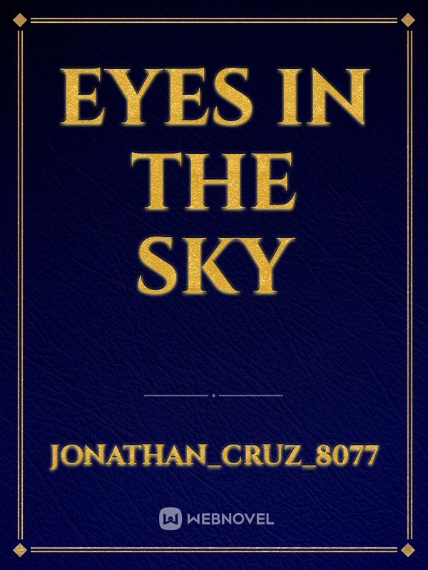 eyes in the sky