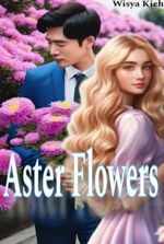 Aster Flowers