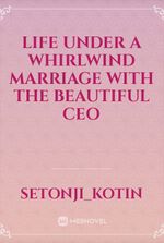 life under a whirlwind marriage with the beautiful ceo