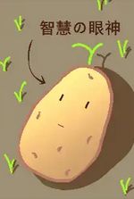 The Hero Turned Into A Potato And The World Fell To Ruin